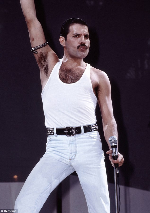 Freddie Mercury role