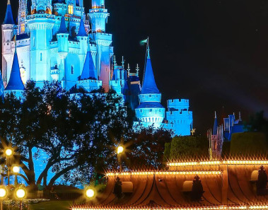 Disney Tends To Keep Cats And Even Some Non-Poisonous Snakes