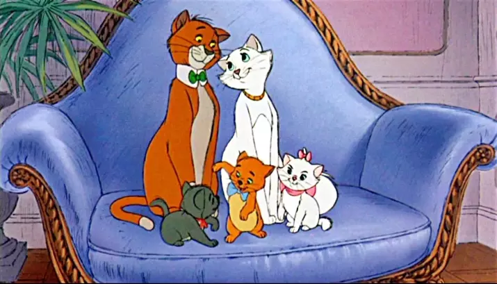 Why Do Cats Need So Much Money
