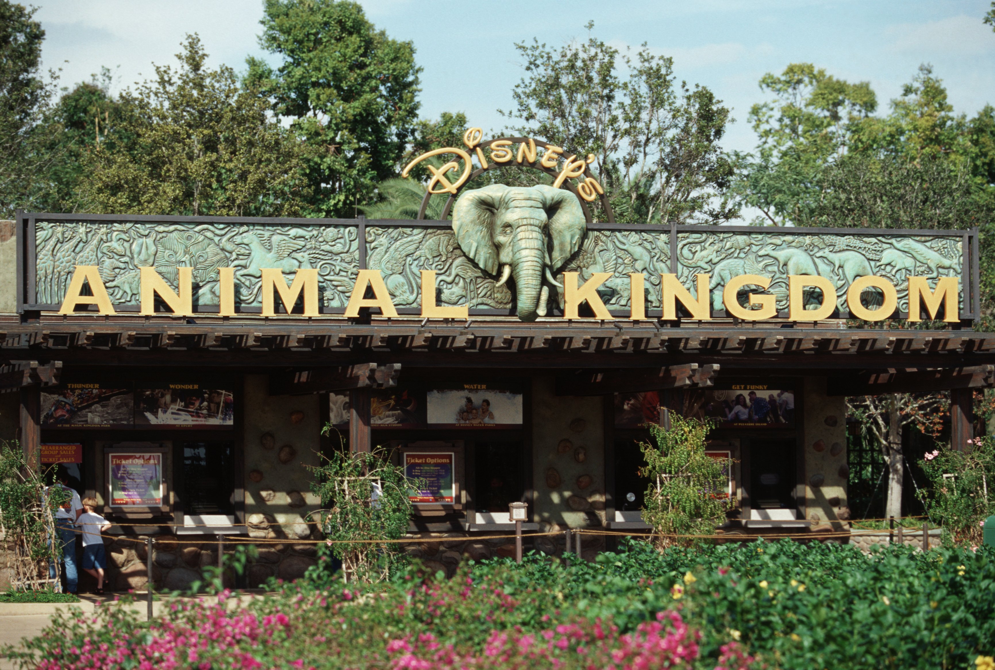 Animal Kingdom Is The Newest Addition To Disneyland 