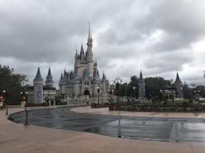 Disney after irma