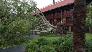 Disney Hurricane irma