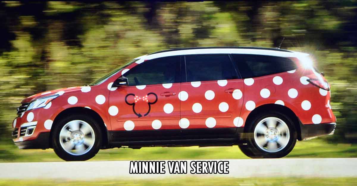 The New Minnie