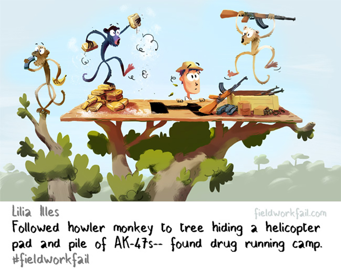 Baboons 2