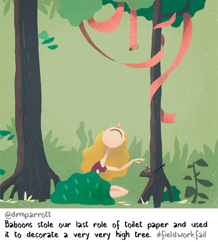 Baboons
