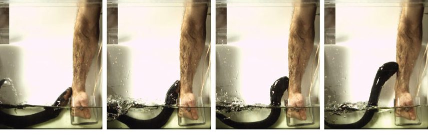 The experiment