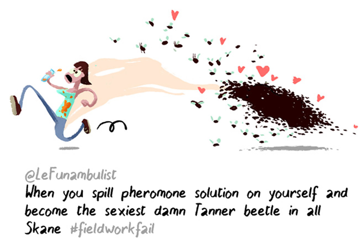 pheromone