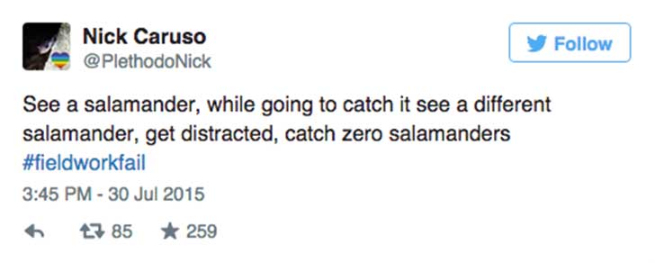 salamander