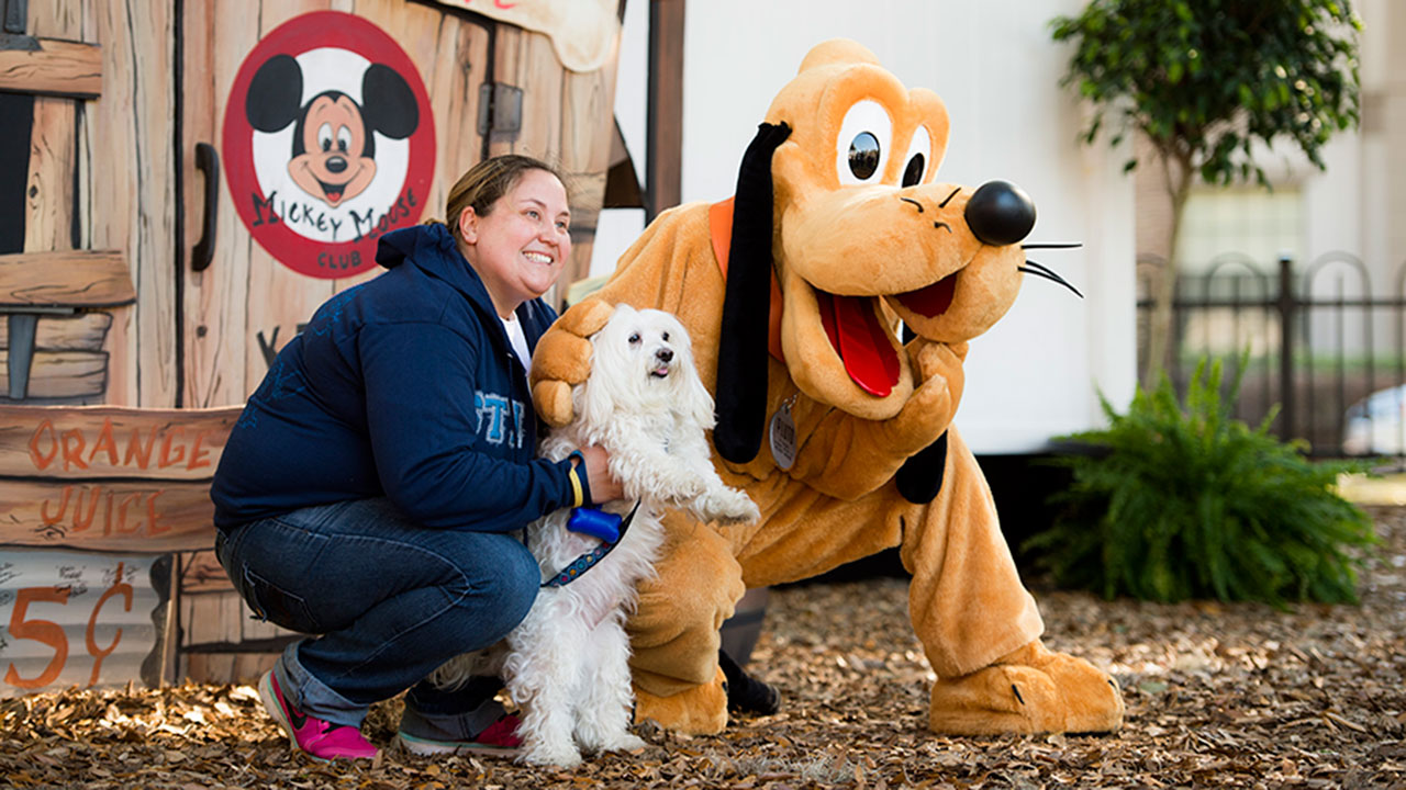 Dog at Walt Disney World