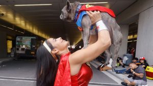 little buddy Krypto