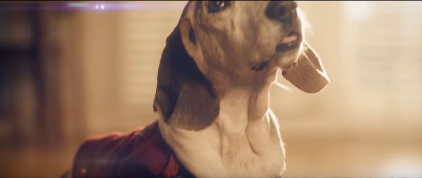 SuperDoggo