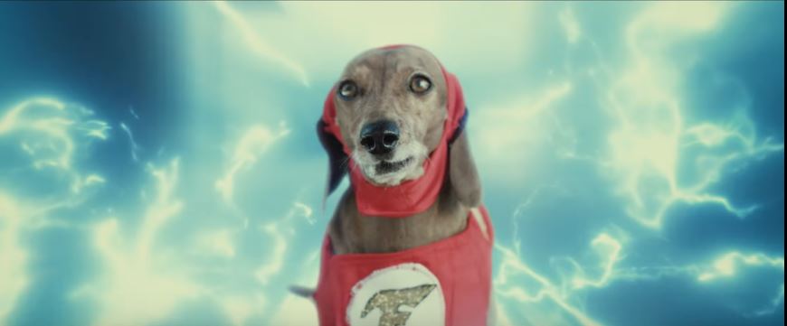 The Flash