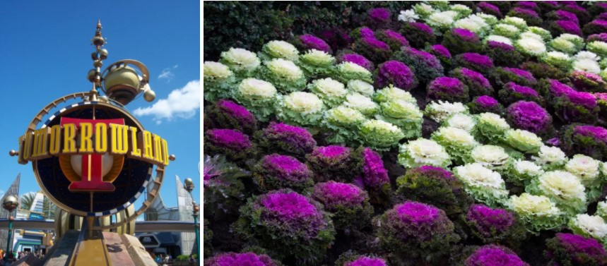 The Plants In Tomorrow Land Are Actually