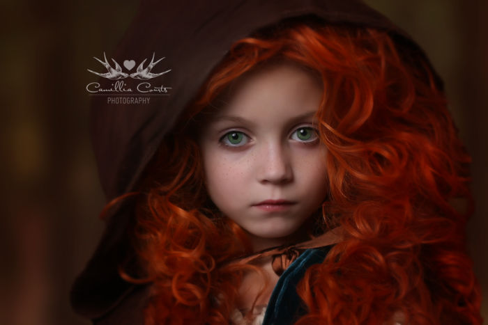 Merida From Brave