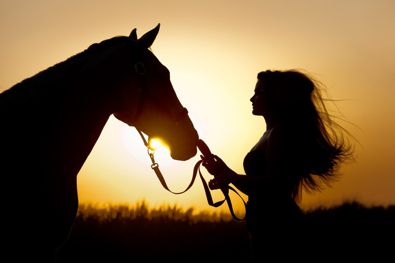 The Man from Snowy River