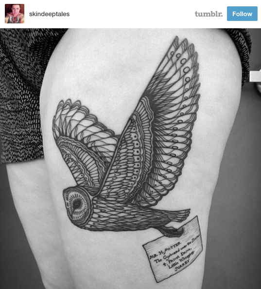This Owl Delivering Important Mail to Harry