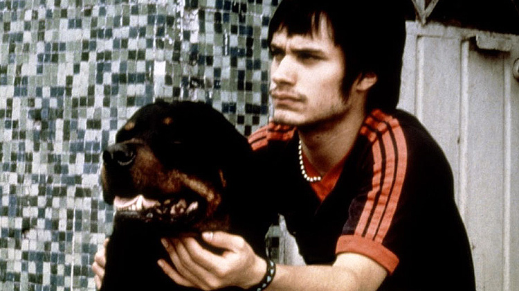 Amores Perros