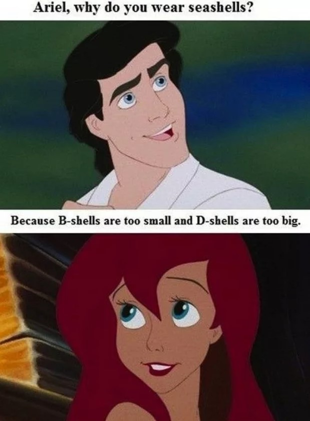 She looks like an A-shell though