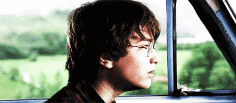 maybe you want to remember Hedwig