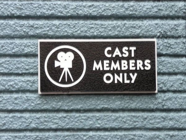 All employees must refer to other employees as cast members at all times