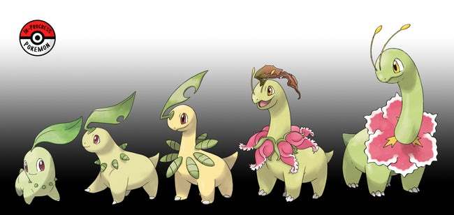 Chikorita