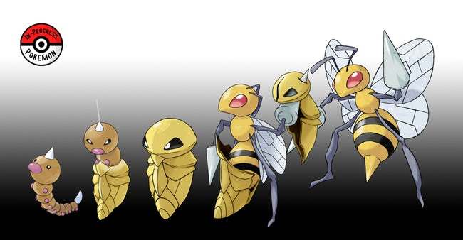 Weedle