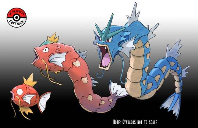 Magikarp