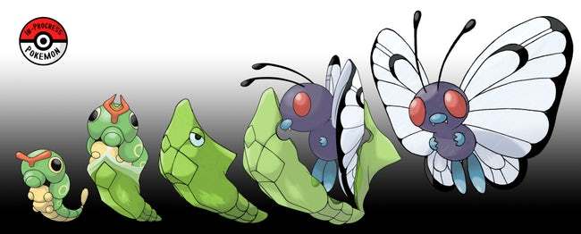Caterpie