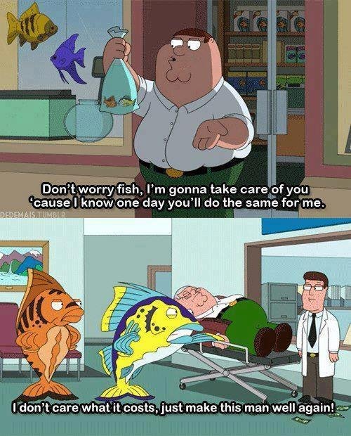 The Faith