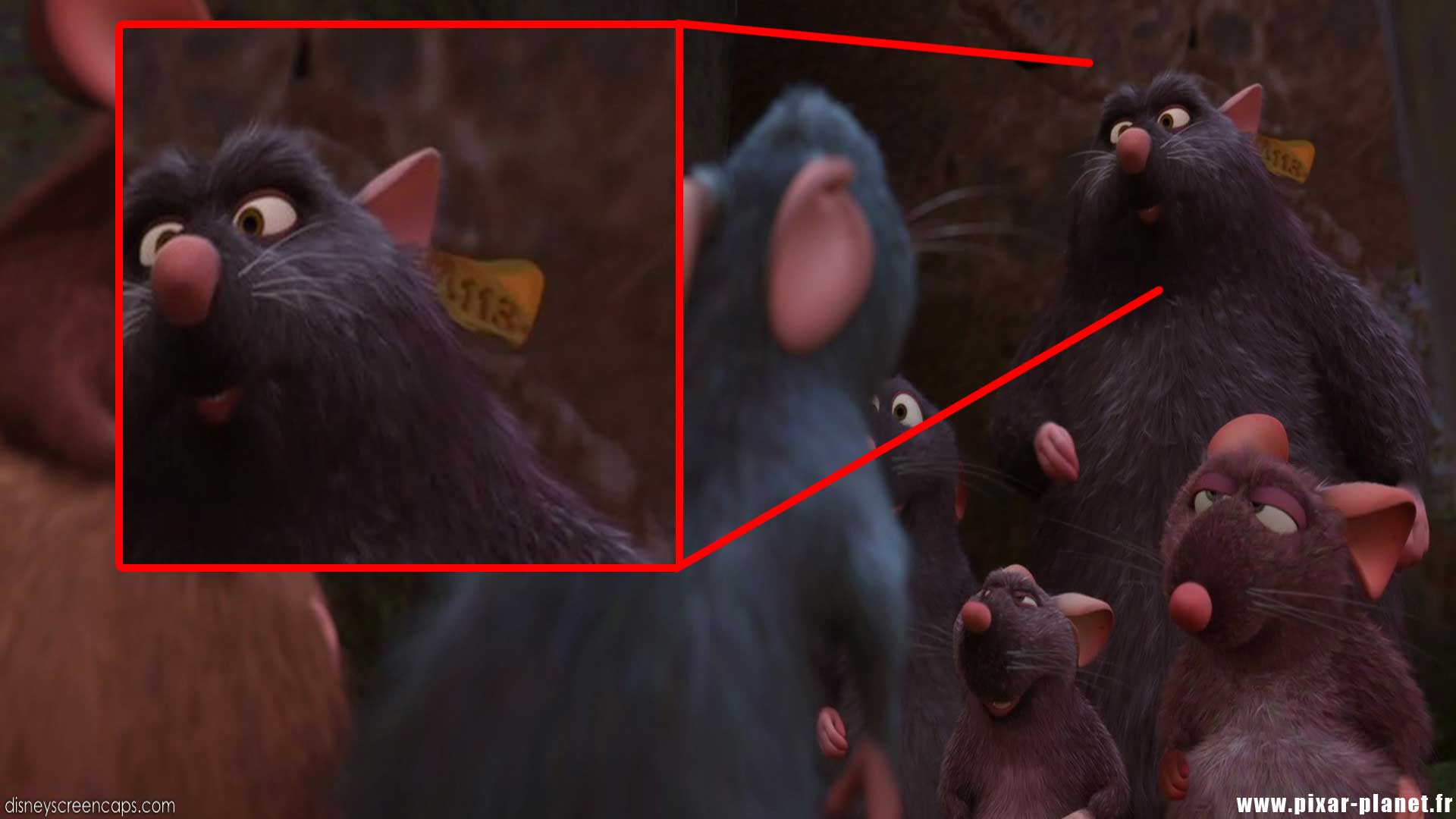 Ratatouille