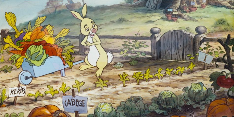 Rabbit