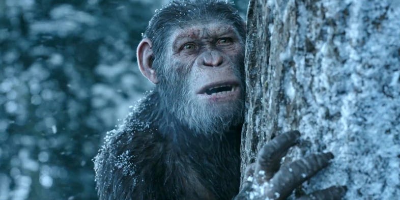 Planet of the Apes