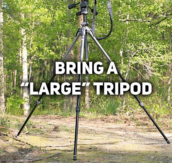 Probably Too Large