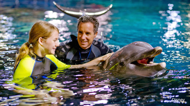 Swimming with the dolphins
