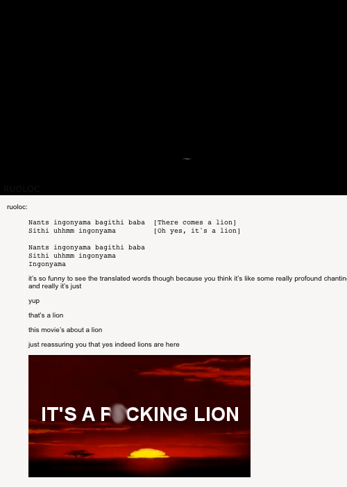 It's a f*cking lion