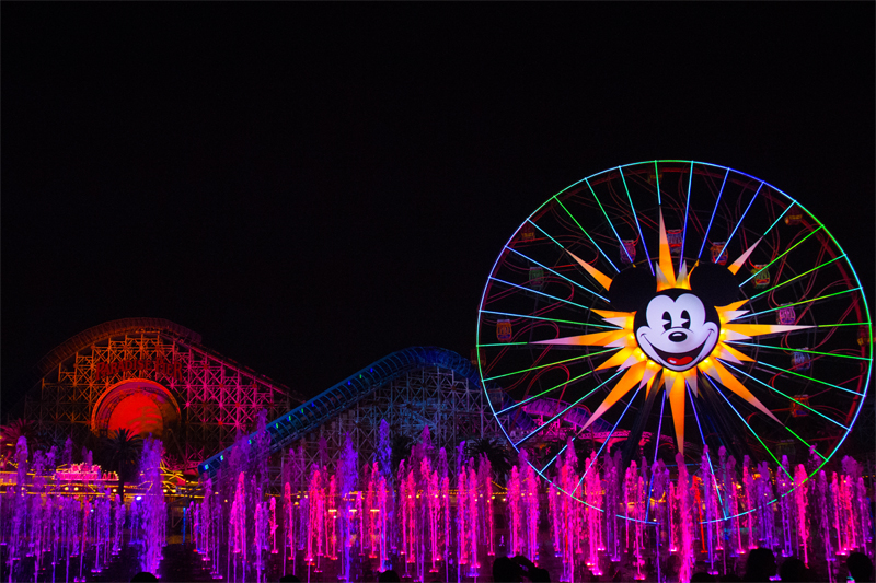 The World of Color Will Enthrall You