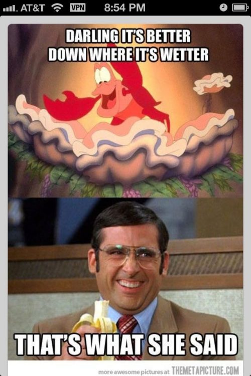Sebastian You Dog