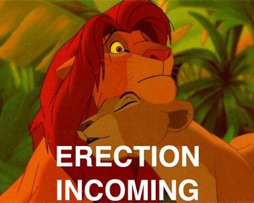 Simba Has No Pants to Hide it