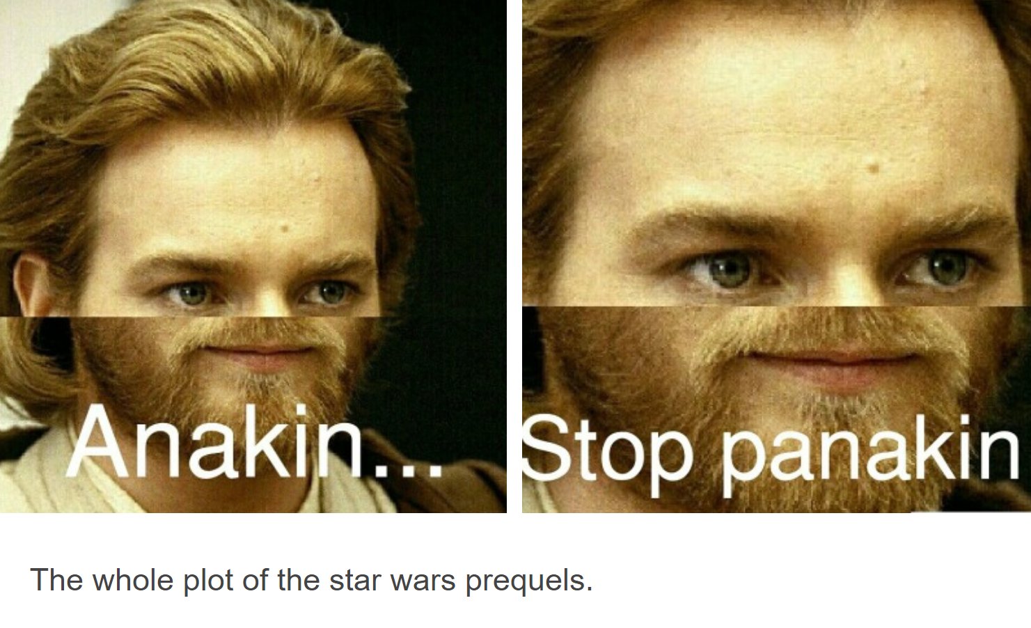 Literally The Whole Movie