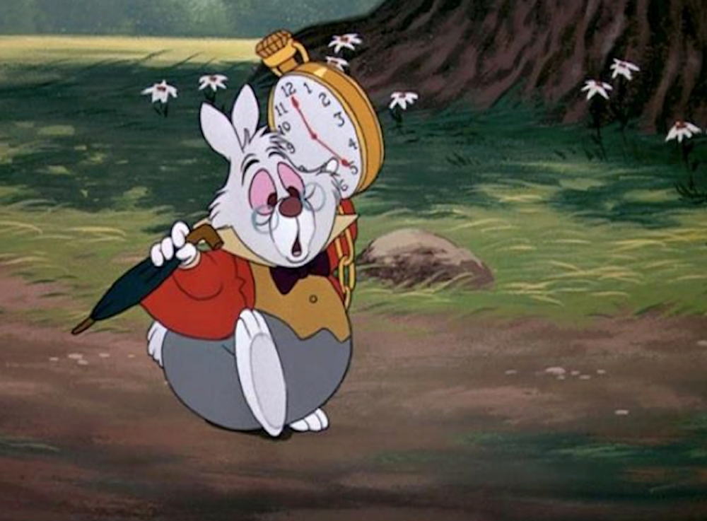 This Rabbit Who is ALWAYS Late