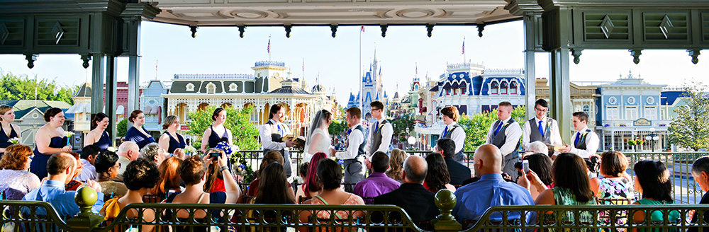 There's an entire community of Disney Wedding online