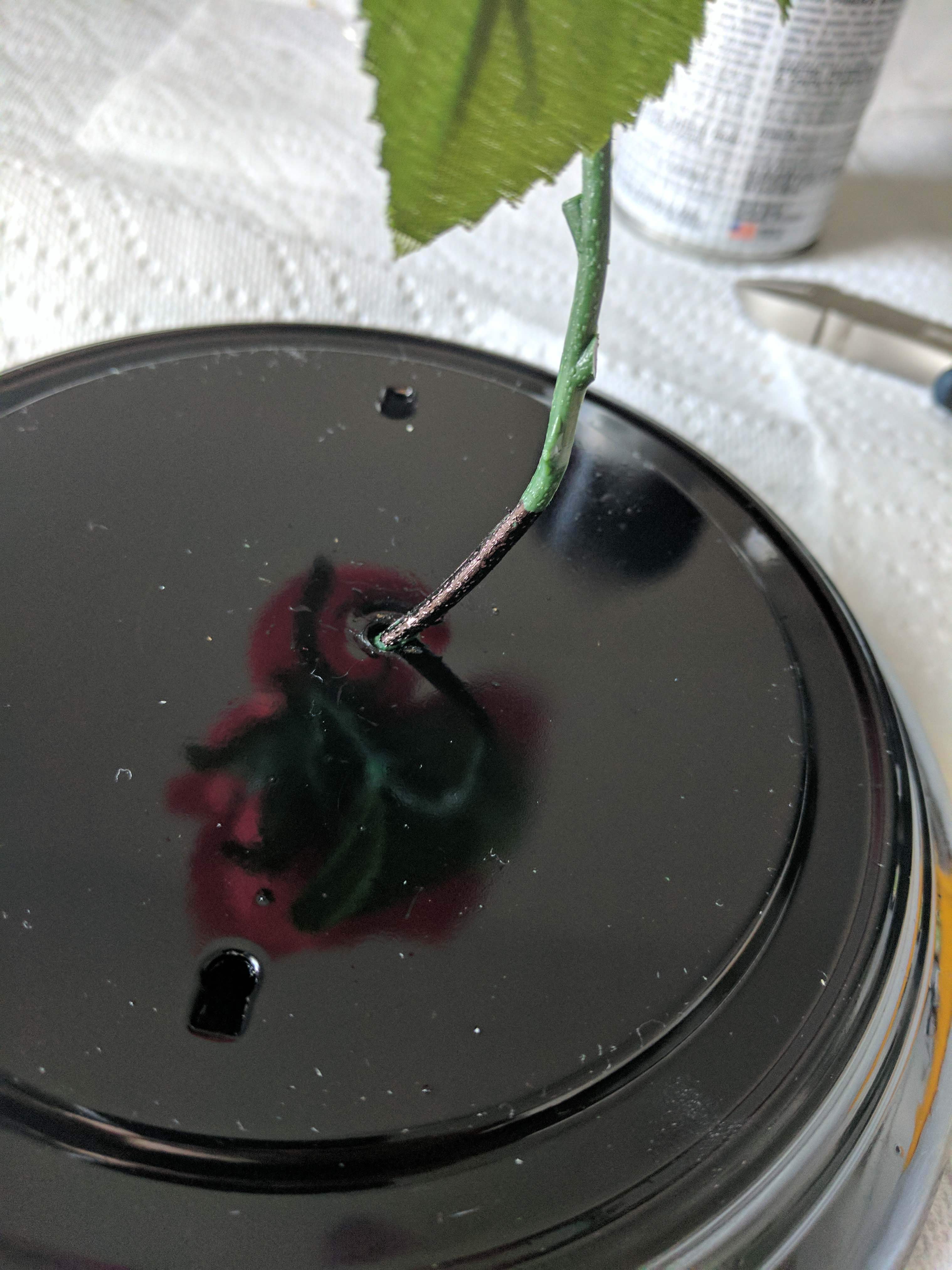 Colored the base of the stem black