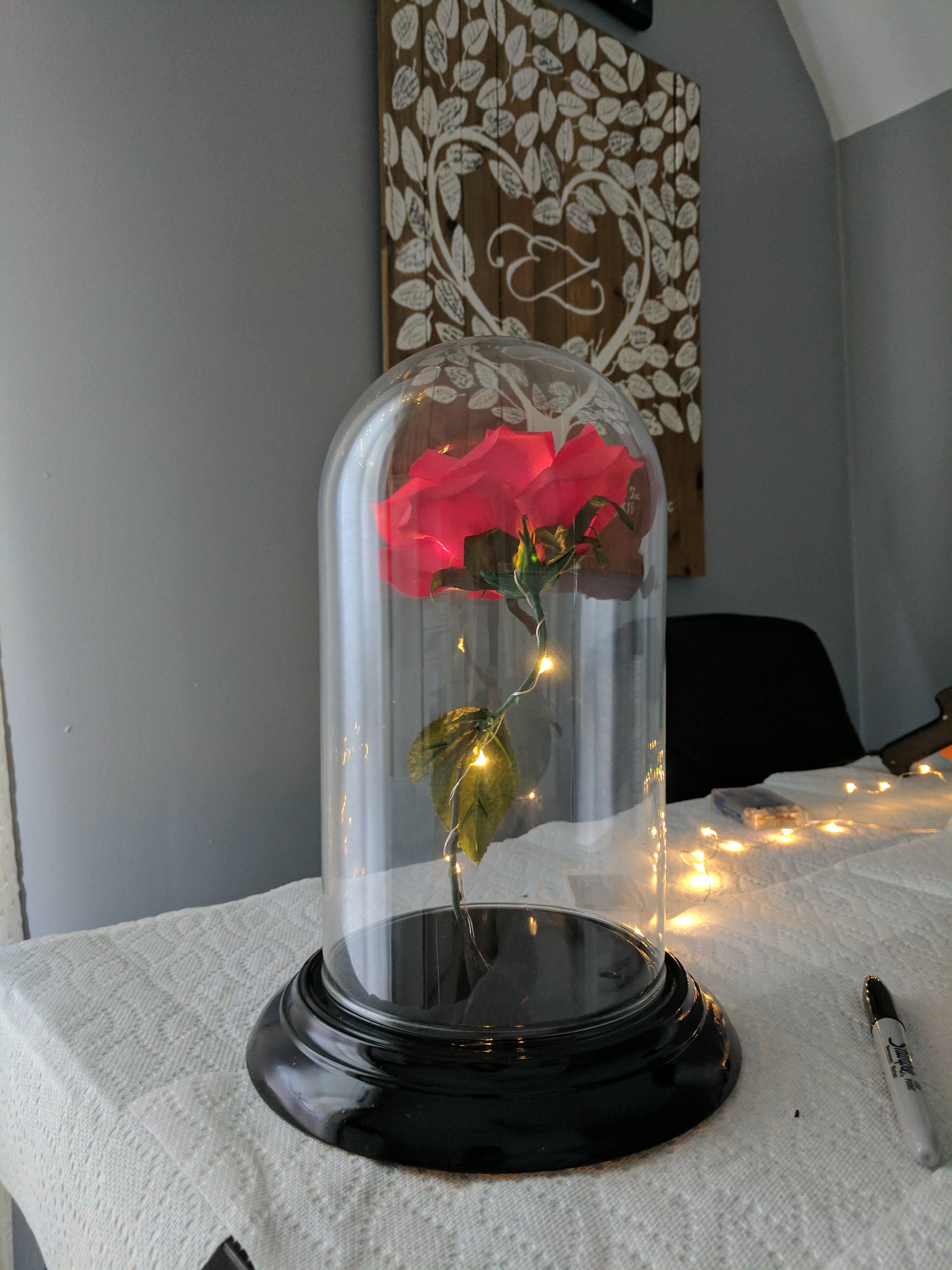 Lit it up to test it out