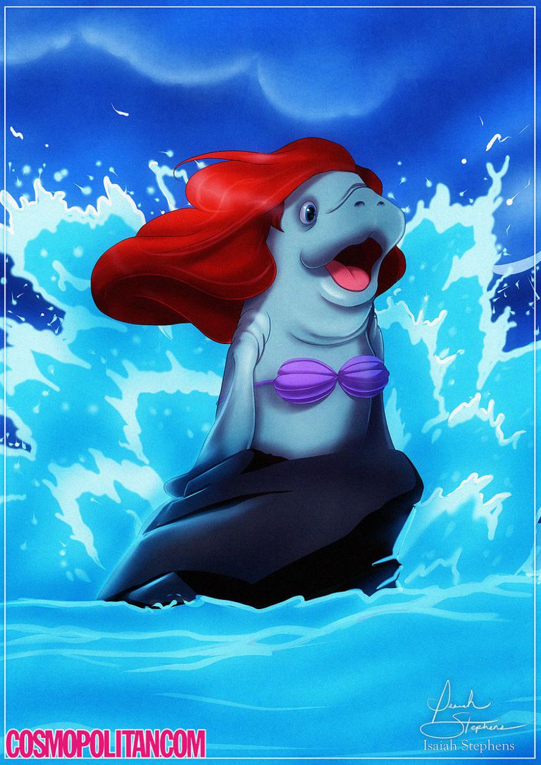 Ariel