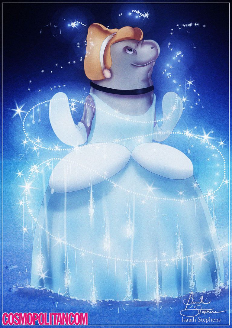 Cinderella