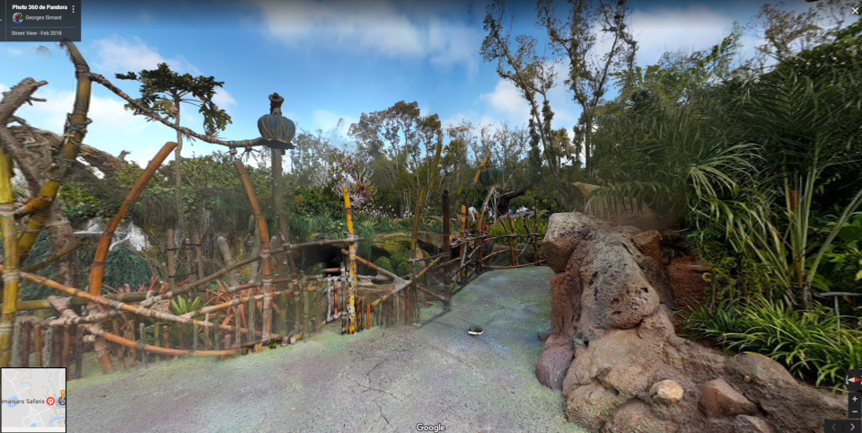Animal Kingdom Can Be Visited Too