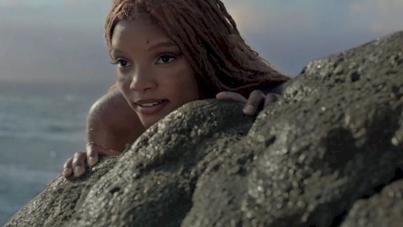 little-mermaid-hiding