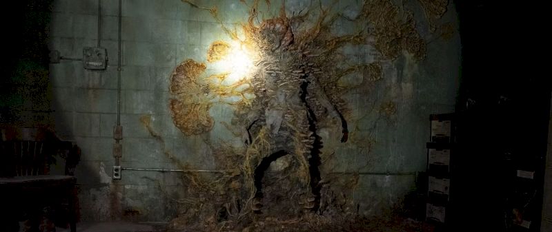 he-last-of-us-zombies-cordyceps-fungu
