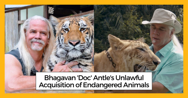 Bhagavan 'Doc' Antle's Unlawful Acquisition of Endangered Animals