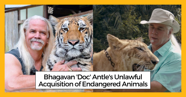 Bhagavan 'Doc' Antle's Unlawful Acquisition of Endangered Animals